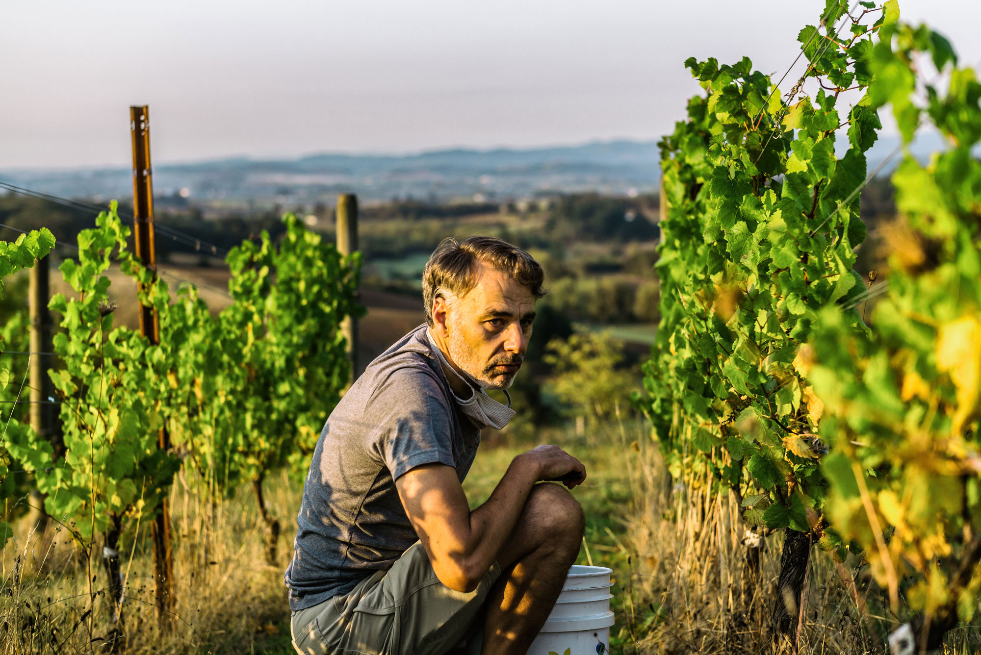 Jean-Nicolas Méo of Nicolas-Jay in the vineyard