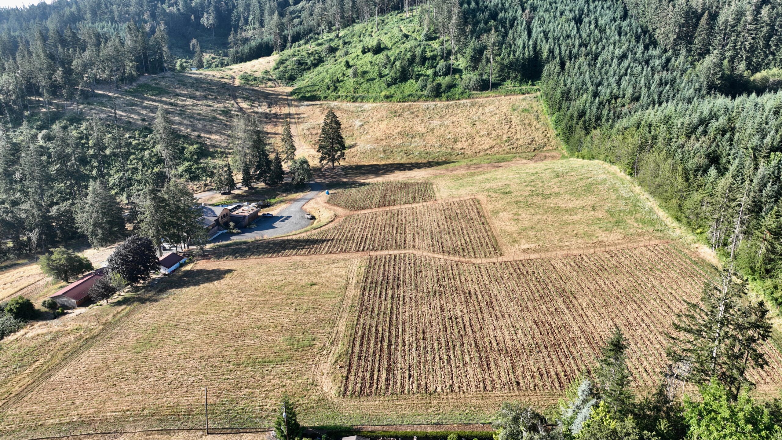 Aerial view of the Nicolas-Jay vineyards