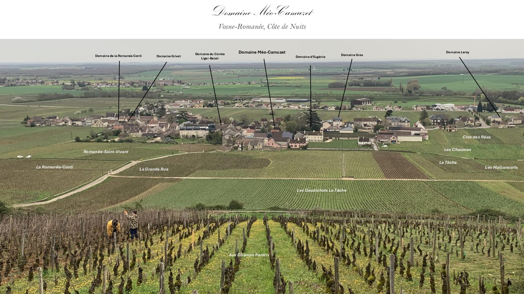 DMC Vosne West photo 1 31 25