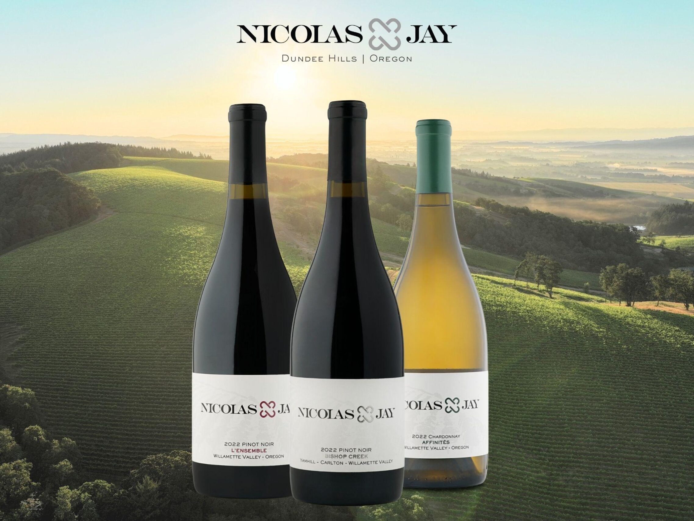 Nicolas-Jay Estate – Who We Are Range – NEW 2026